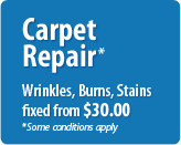 Carpet Repair